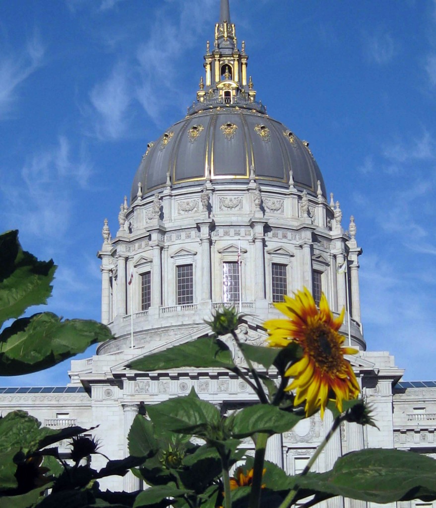 San Francisco City Hall sunflowers during Slow Food Nation - San Francisco, USA San Francisco City Hall during Slow Food Nation