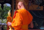 Going green in Luang Prabang