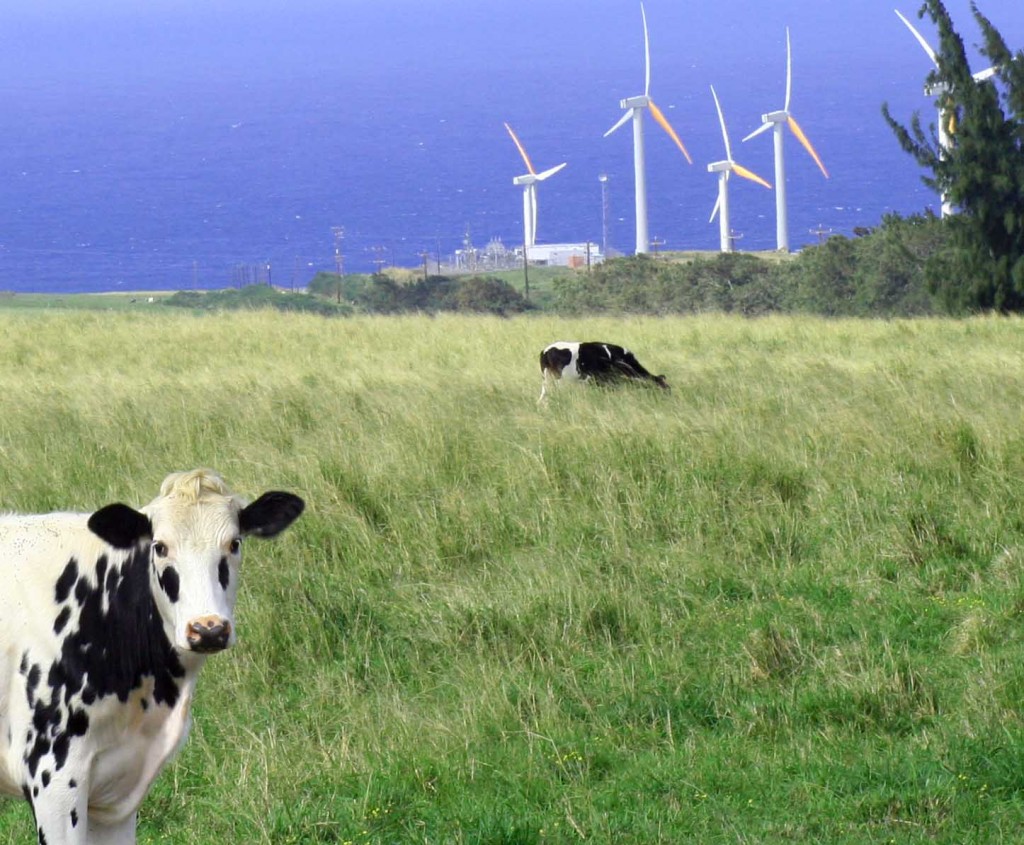 Wind farm - Kohala, Big Island of Hawaii Wind farm in Kohala, Big Island of Hawaii