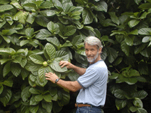 Steve Frailey of Hawaiian Health Ohana in Anahola, Kauai, Hawaii