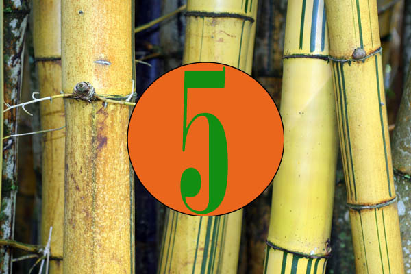 5 great green to do's in Hawaii 5 great green to do's in Hawaii