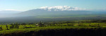 Green Maui: where to stay Upcountry