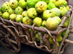 Jalisco, Mexico: a fiesta of quince
