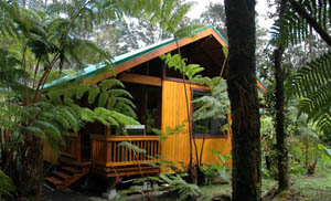 Volcano Village Lodge - Volcano, Hawaii, USA Volcano Village Lodge in Volcano, Hawaii, USA