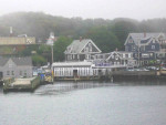Greener pastures on Martha’s Vineyard