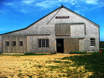 historic Katama Farm - Martha's Vineyard, Cape Cod, Massachusetts, USA historic Katama Farm on Martha's Vineyard, Cape Cod, Massachusetts, USA