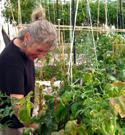 Dianne Kushner in her organic garden, Rancho Casa Luna - San Miguel de Allende, Guanajuato, Mexico Dianne Kushner in her organic garden, Rancho Casa Luna in San Miguel de Allende, Guanajuato, Mexico