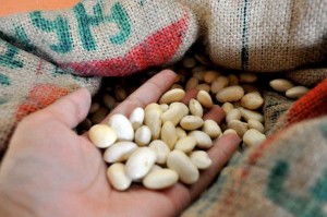 Organic beans, Kheti Bazaar - Kathmandu, Nepal Organic beans for sale at Kheti Bazaar in Kathmandu, Nepal