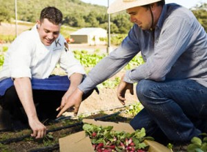 Murray Circle Chef Everett down on the farm - Sonoma, California, USA Murray Circle Chef Everett on the farm in Sonoma, California, USA
