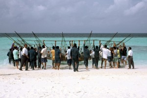 Banyon Tree reef regeneration - Maldives Banyon Tree reef regeneration in the Maldives