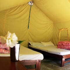 Safari tent at The Last Resort - Nepal Safari tent at The Last Resort in Nepal