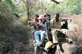 Elephant-back tourists, Kanha National Park - India Elephant-back tourists, Kanha National Park in India