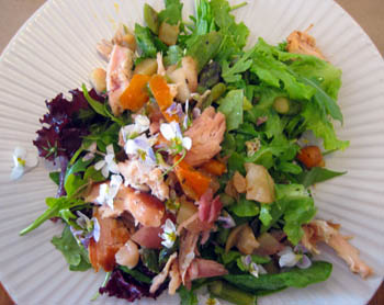 Smoked rabbit and warm seasonal vegetable salad - The Cooks' House, Traverse City, Michigan USA Smoked rabbit and warm seasonal vegetable salad at The Cooks' House, Traverse City, Michigan USA