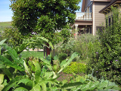 Gardens, Cass House Inn - Cayucos, California USA Gardens, Cass House Inn in Cayucos, California USA