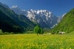 Slovenia, part 2: up on the eco-tourist farm
