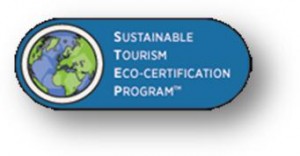 STEP logo
