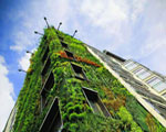 No let up in green certification