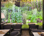 Starhotels E.c.ho Milano wins ‘Sustainable Design’ award