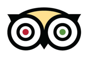 TripAdvisor now ranking hotels as GreenLeaders