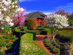 Anderson Valley: America's greenest wine country