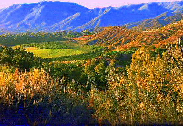 Ojai Valley - Ojai, Calif., USA