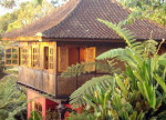 bali-sarinbuana_jungle-house1