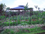 bali-ubud-OBC-exterior