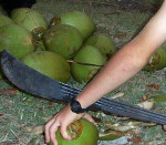 maui-Coconut-meets-machete1