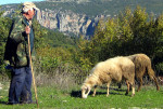 greece-shepherd-Pindus-Mtns