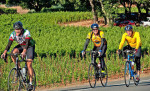 California wine country: 10 great places to hike, bike and sip