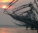 Fort Cochin: Malabar green