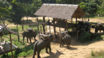 Asian Oasis: Thai eco trinity