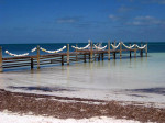Florida Keys: a green travel paradise?