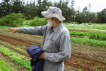 Hawaii’s best farm-to-fork tour