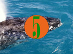 Maui: 5 great green to do’s