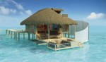 Sensual green in the Maldives