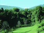 Kathmandu: hunt for the green heart