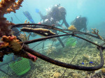 Green hero: Gili Islands’ Delphine Robbe