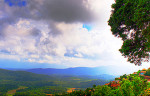 Karnataka, India: organic eco-retreat in the Western Ghats