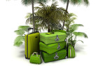 Guest post: my eco-friendly vacation