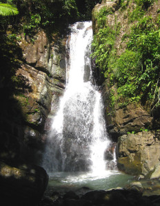 East Puerto Rico: top 3 green adventures, in a hurry | Green Traveler ...