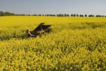 Europe’s 8 best ‘eco’ classical music festivals this summer